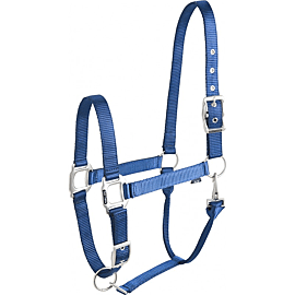 Equi-Thème Éclat Headcollar